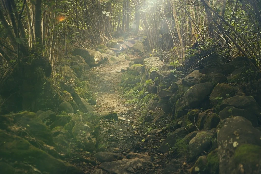 Bhorgiri to Bhimashankar Jungle Trek