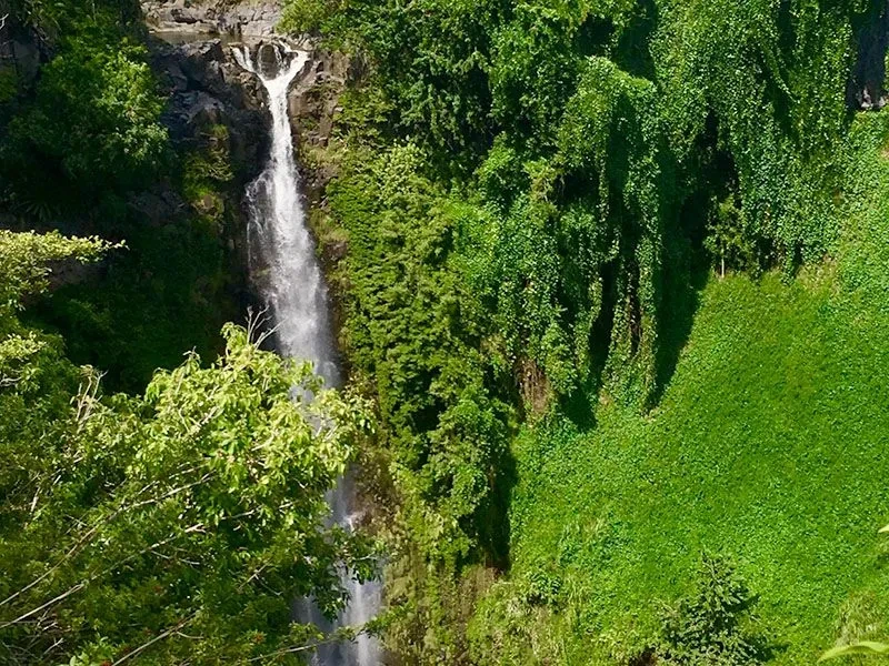 Secret Waterfall Rappelling